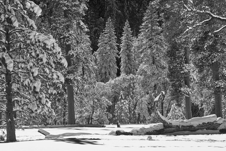 winter in yosemite national park 002