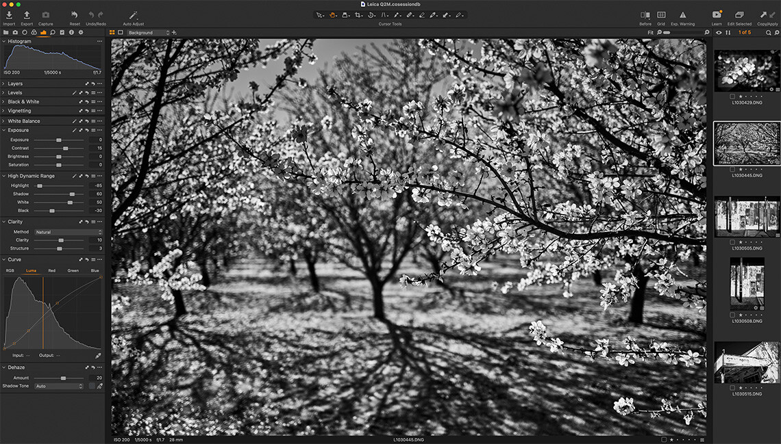 leica q2 monochrom capture one