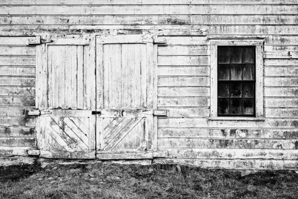 Old Barn - Pierce Point Ranch