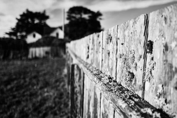 The Weathered Fence - Pierce Point Ranch