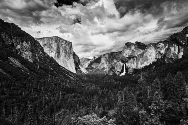 Tunnel View 2024